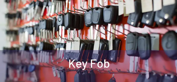  Key Fob 